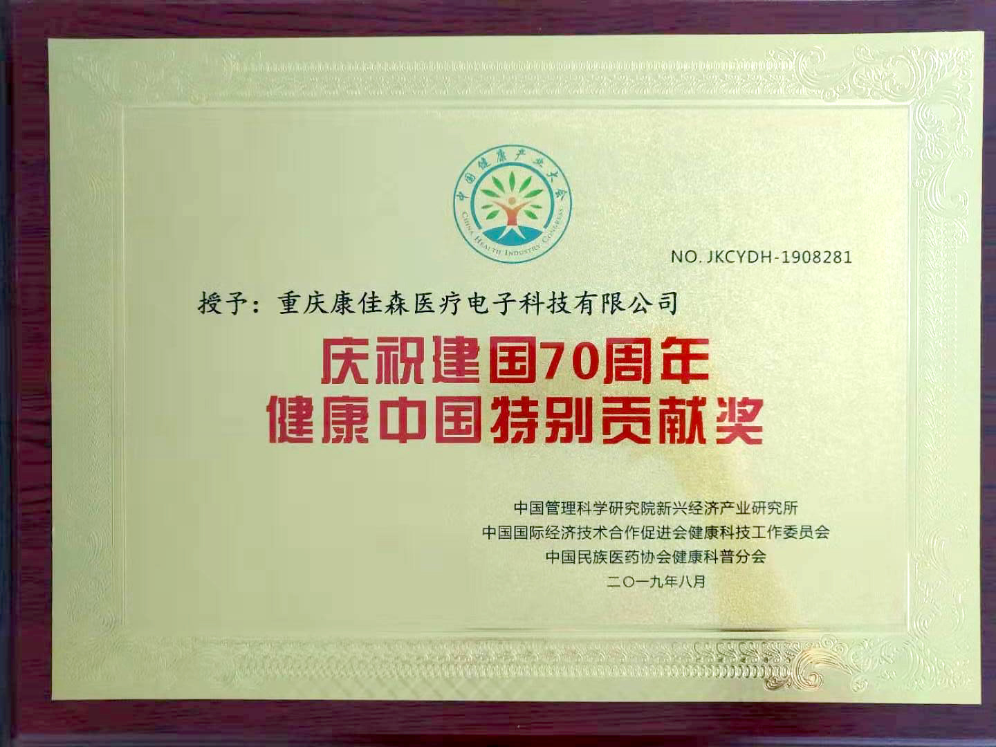 庆祝建国70周年健康中国特别贡献奖